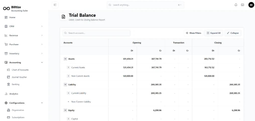 Billtize double-entry accounting interface